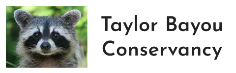 Taylor Bayou Conservancy